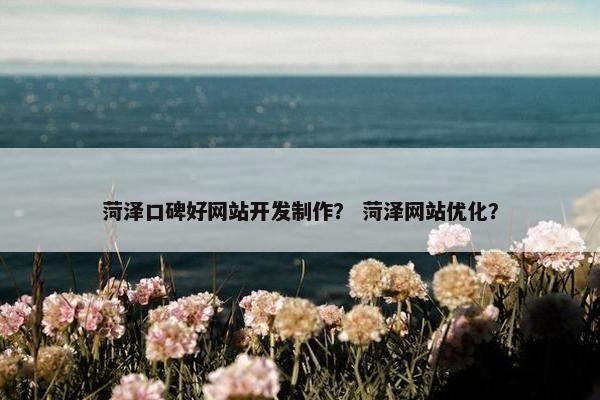 菏泽口碑好网站开发制作？ 菏泽网站优化？