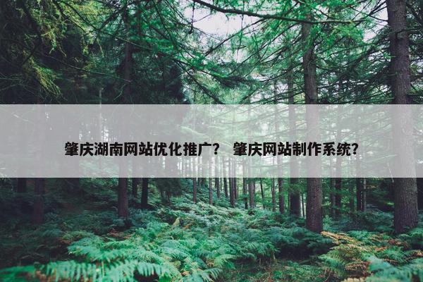 肇庆湖南网站优化推广？ 肇庆网站制作系统？