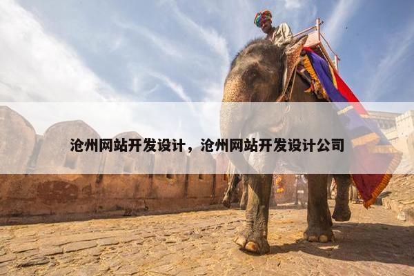 沧州网站开发设计，沧州网站开发设计公司