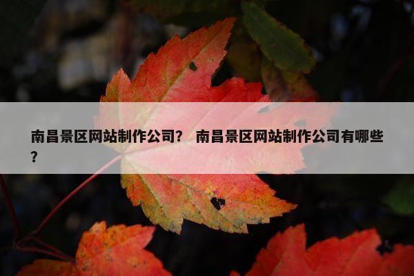 南昌景区网站制作公司？ 南昌景区网站制作公司有哪些？