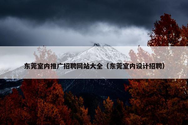 东莞室内推广招聘网站大全（东莞室内设计招聘）