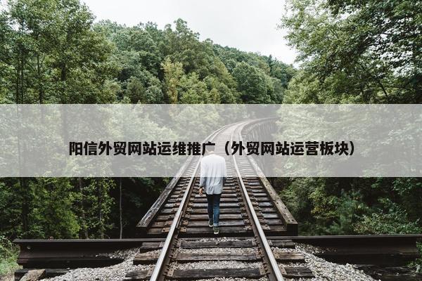 阳信外贸网站运维推广（外贸网站运营板块）