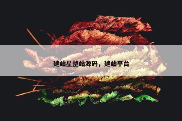 建站星整站源码，建站平台