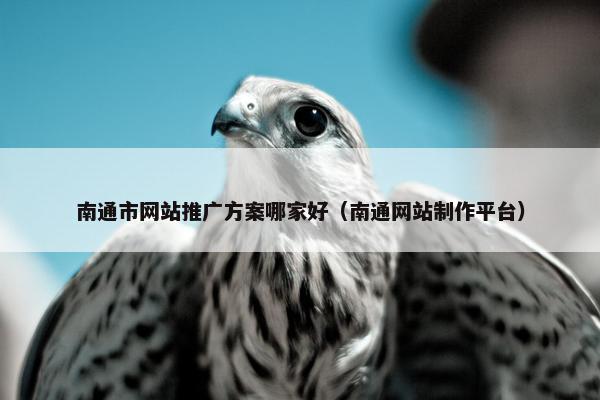 南通市网站推广方案哪家好（南通网站制作平台）