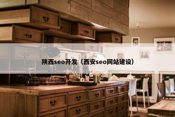 陕西seo开发（西安seo网站建设）