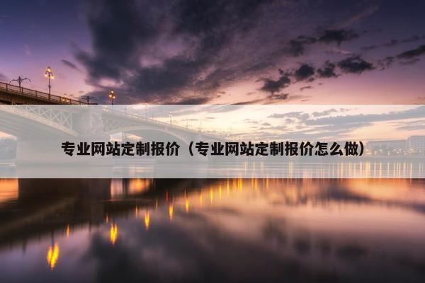 专业网站定制报价（专业网站定制报价怎么做）
