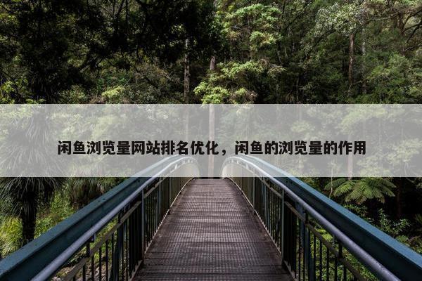 闲鱼浏览量网站排名优化，闲鱼的浏览量的作用