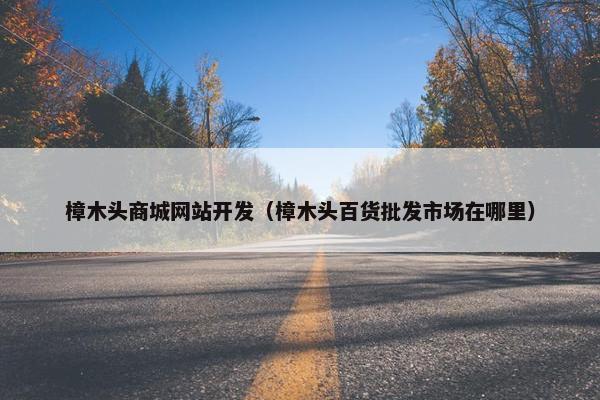 樟木头商城网站开发（樟木头百货批发市场在哪里）