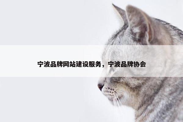 宁波品牌网站建设服务，宁波品牌协会