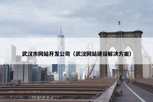 武汉市网站开发公司（武汉网站建设解决方案）