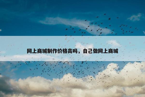 网上商城制作价格高吗，自己做网上商城