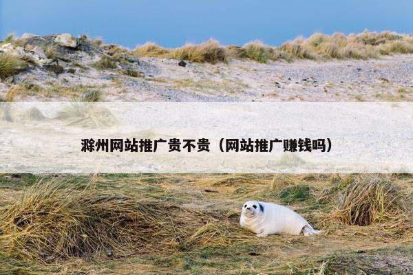滁州网站推广贵不贵（网站推广赚钱吗）
