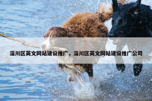 淄川区英文网站建设推广，淄川区英文网站建设推广公司