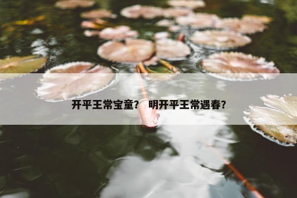 开平王常宝童？ 明开平王常遇春？