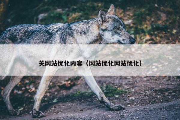 关网站优化内容（网站优化网站优化）