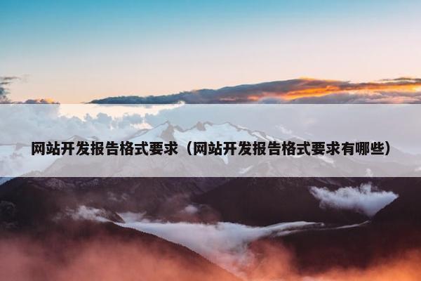 网站开发报告格式要求（网站开发报告格式要求有哪些）