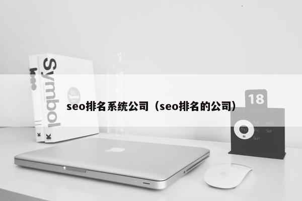 seo排名系统公司（seo排名的公司）