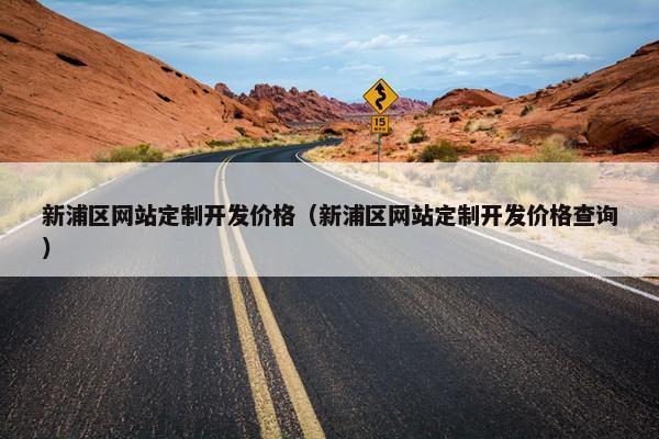 新浦区网站定制开发价格（新浦区网站定制开发价格查询）