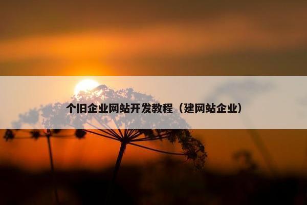 个旧企业网站开发教程（建网站企业）