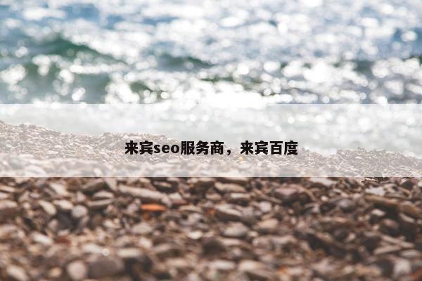 来宾seo服务商，来宾百度