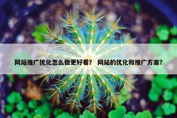 网站推广优化怎么做更好看？ 网站的优化和推广方案？