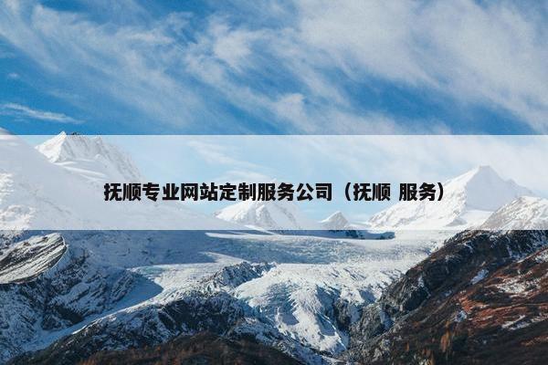 抚顺专业网站定制服务公司（抚顺 服务）