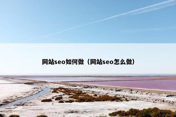 网站seo如何做（网站seo怎么做）