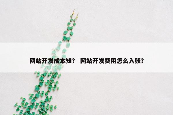 网站开发成本知？ 网站开发费用怎么入账？
