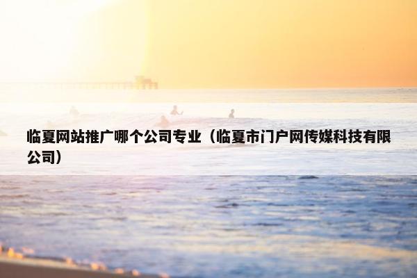 临夏网站推广哪个公司专业（临夏市门户网传媒科技有限公司）