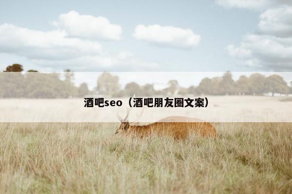 酒吧seo（酒吧朋友圈文案）