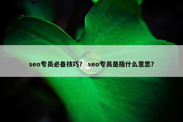 seo专员必备技巧？ seo专员是指什么意思？