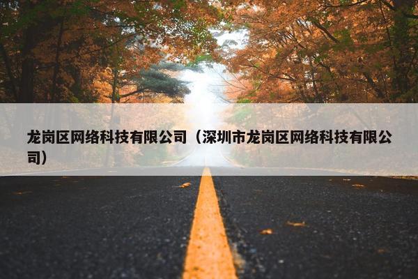 龙岗区网络科技有限公司（深圳市龙岗区网络科技有限公司）