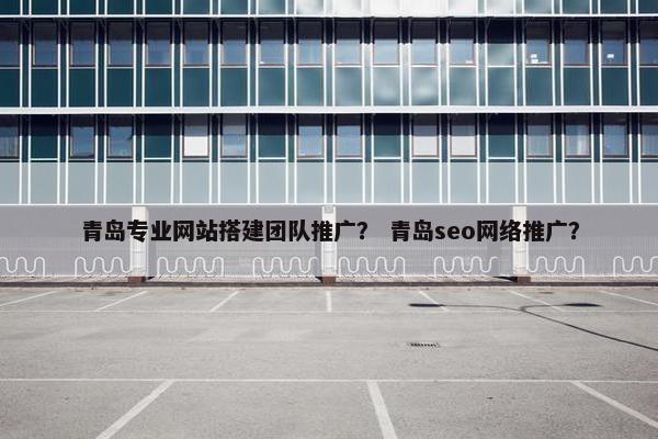 青岛专业网站搭建团队推广？ 青岛seo网络推广？