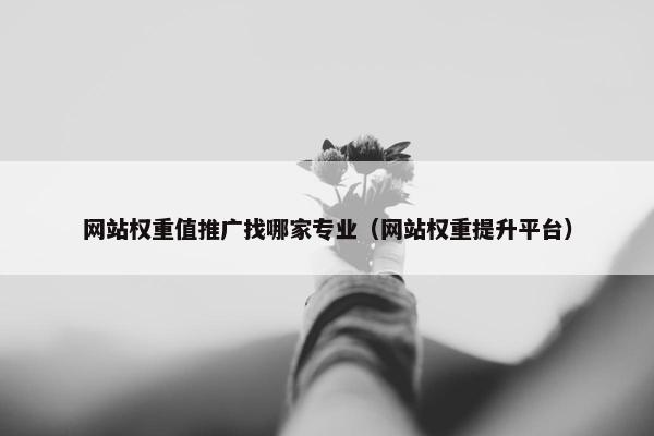 网站权重值推广找哪家专业（网站权重提升平台）