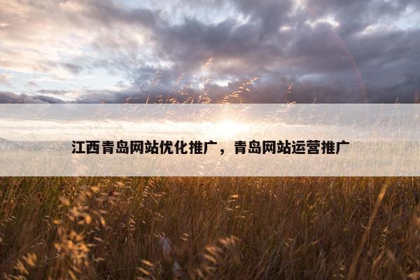 江西青岛网站优化推广，青岛网站运营推广
