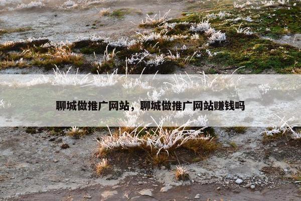 聊城做推广网站，聊城做推广网站赚钱吗