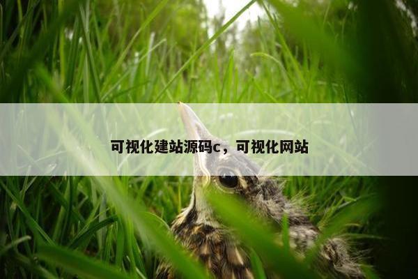 可视化建站源码c，可视化网站