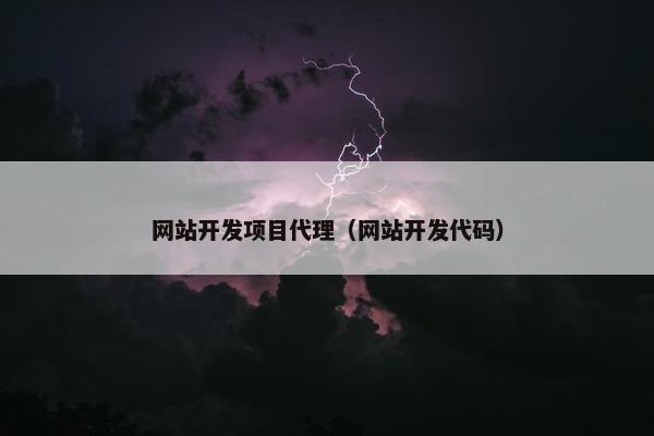 网站开发项目代理（网站开发代码）