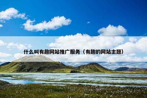什么叫有趣网站推广服务（有趣的网站主题）