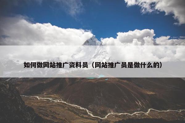 如何做网站推广资料员（网站推广员是做什么的）