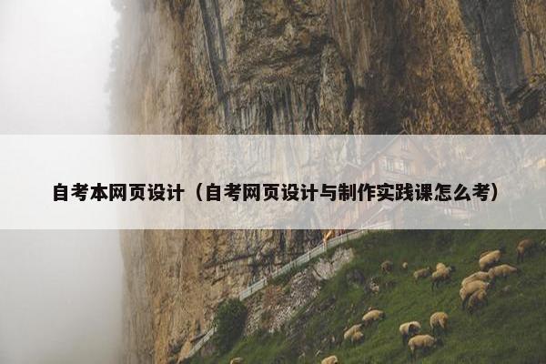 自考本网页设计（自考网页设计与制作实践课怎么考）