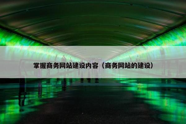 掌握商务网站建设内容（商务网站的建设）