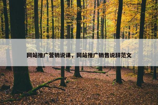 网站推广营销说课，网站推广销售说辞范文