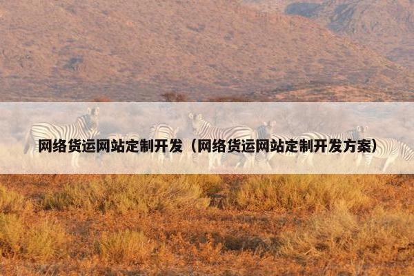 网络货运网站定制开发（网络货运网站定制开发方案）
