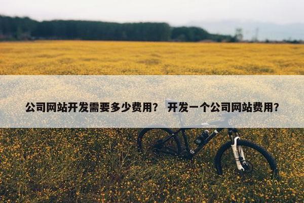 公司网站开发需要多少费用？ 开发一个公司网站费用？