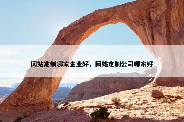 网站定制哪家企业好，网站定制公司哪家好
