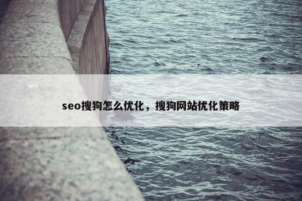 seo搜狗怎么优化，搜狗网站优化策略