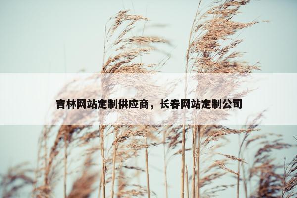吉林网站定制供应商，长春网站定制公司