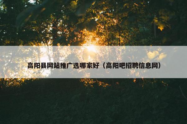 高阳县网站推广选哪家好（高阳吧招聘信息网）
