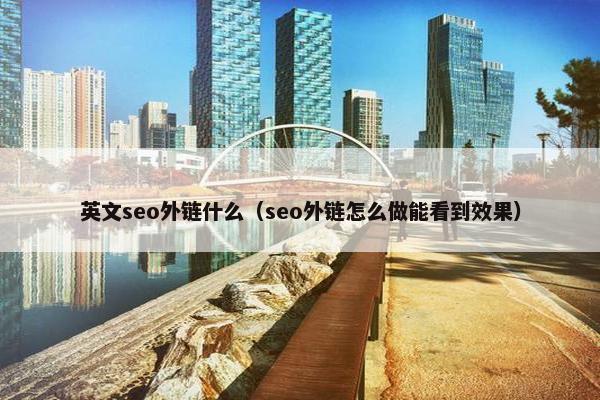 英文seo外链什么（seo外链怎么做能看到效果）